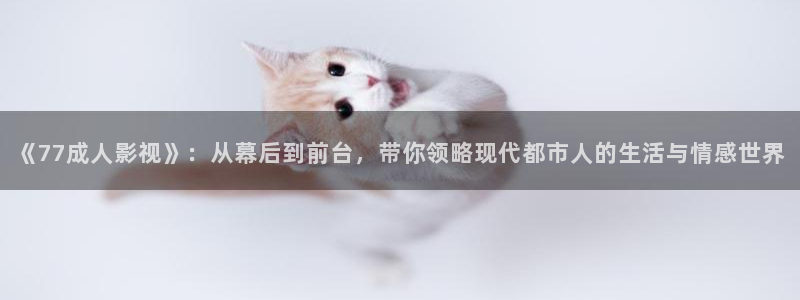 九七电影免费