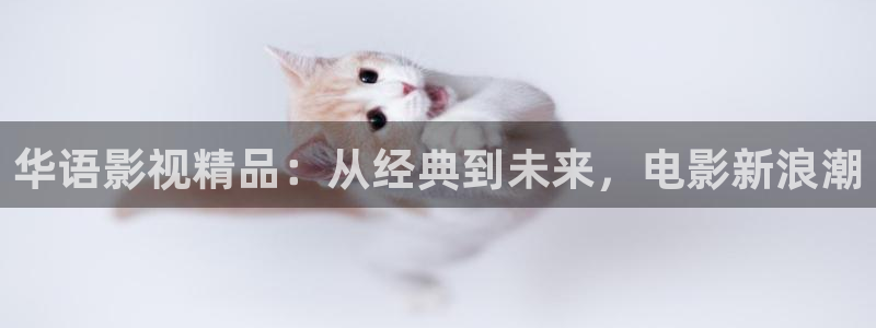 九七电影手机版：华语影视精品：从经典到未来，电影新浪潮