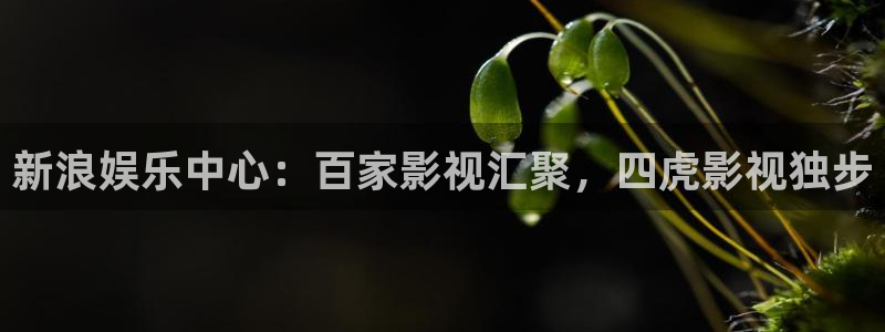 九七影院手机版电影网：新浪娱乐中心：百家影视汇聚，四虎影视独步