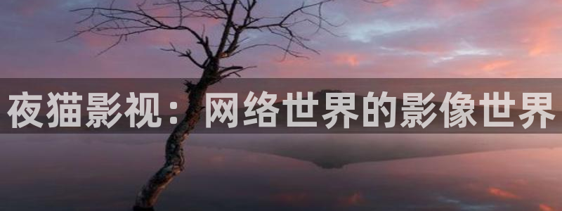 九七电影手机正式版