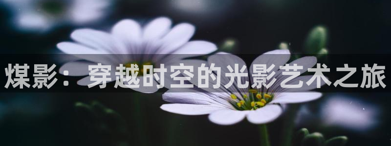 九七影院进入